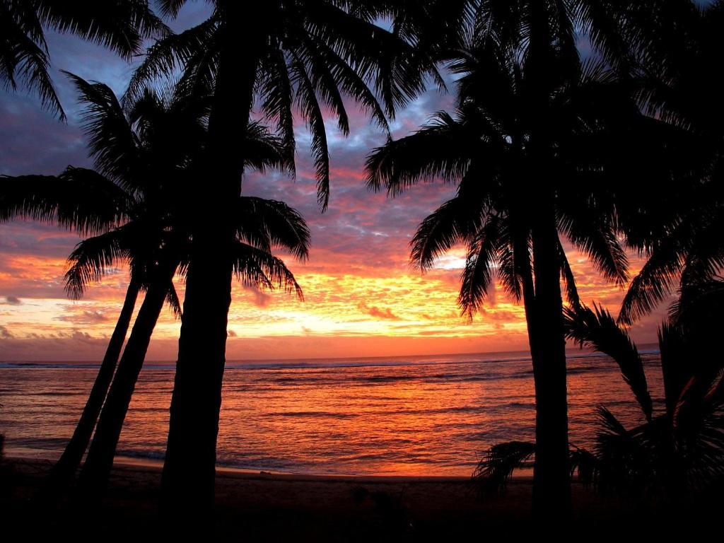 Sunhaven Beach Bungalows (Adults Only) ราโรทองกา ภายนอก รูปภาพ