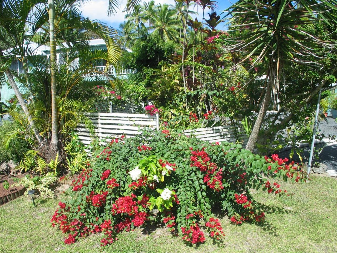 Sunhaven Beach Bungalows (Adults Only) ราโรทองกา ภายนอก รูปภาพ